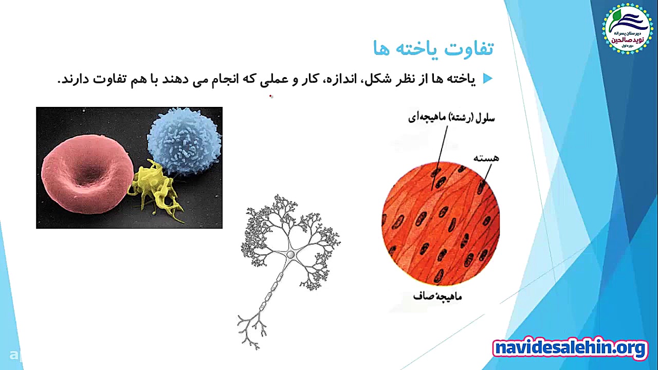 آموزش مجازی علوم هفتم  فصل 11...