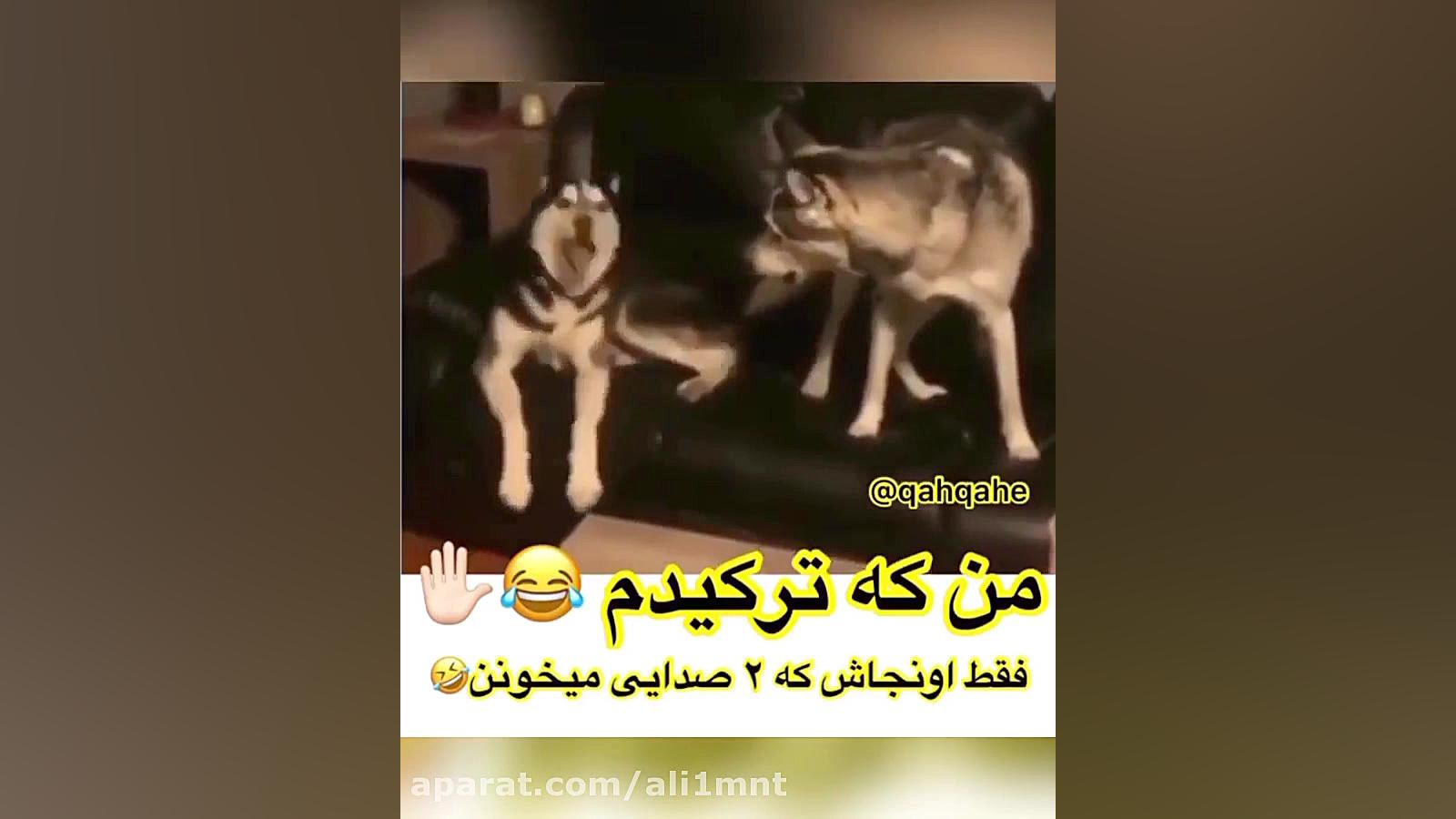 بیخیال دنیا باش و اول خند و با...
