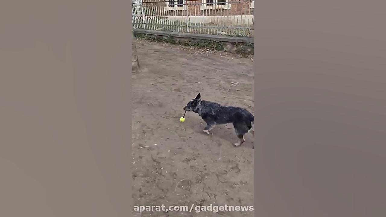 نمونه ویدیوی دوربین گلکسی اس 2...