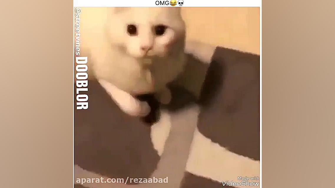 مجید بیلاخ ههه