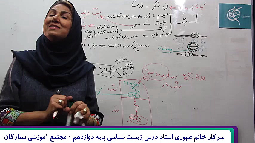 زیست شناسی دوازدهم  فتوسنتز بخ...