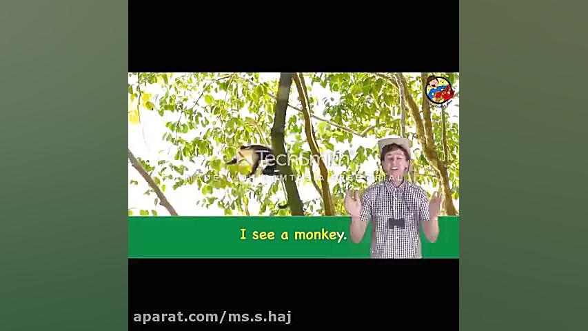 Family and friends 1 animals M...