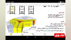 علوی | زیست دهم  فصل ششم  از ی...