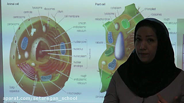 13 اسفند  علوم هفتم  مقایسه یا...