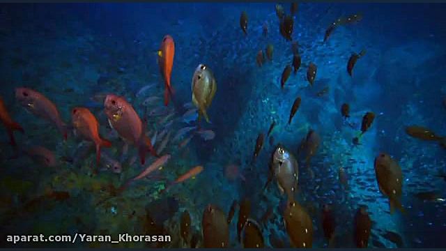 مستند غارهای سیاره زمین