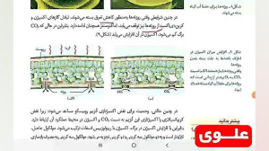 علوی | زیست دوازدهم  فصل ششم 1