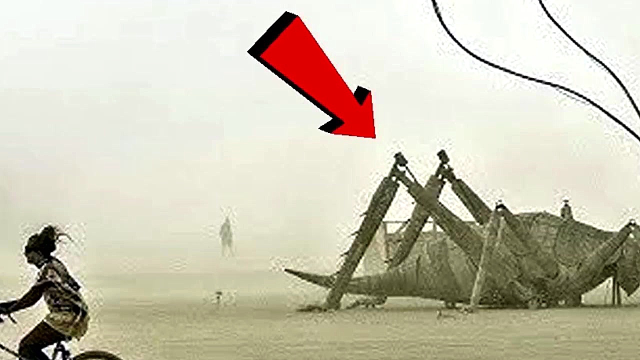 10 حشره بزرگ که در واقع واقعی...