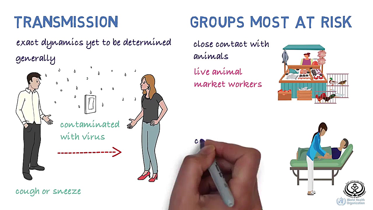 همه چیز در مورد کرونا ویروس ،c...