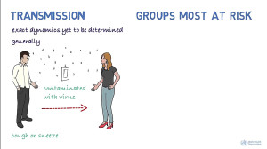 اطلاعات مفیدی در مورد ویروس کر...