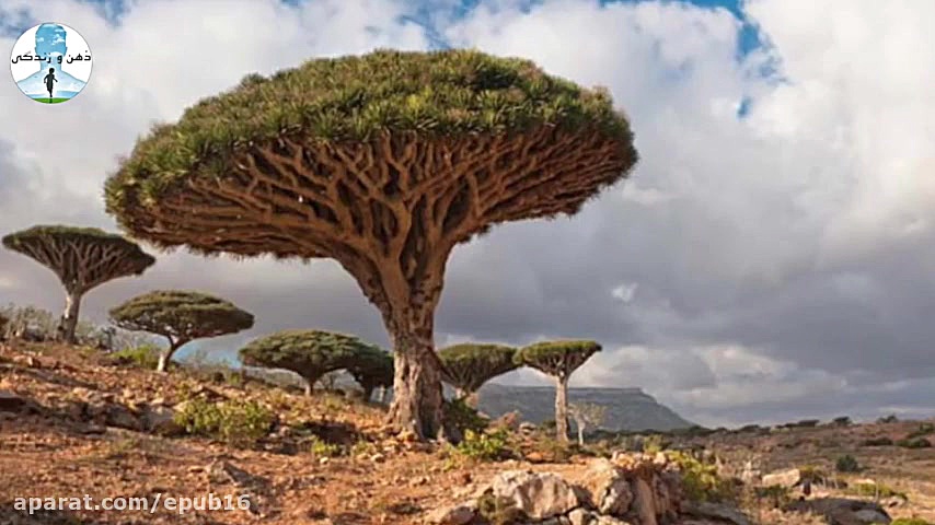 عجیب ترین مکان های دنیا که حیر...