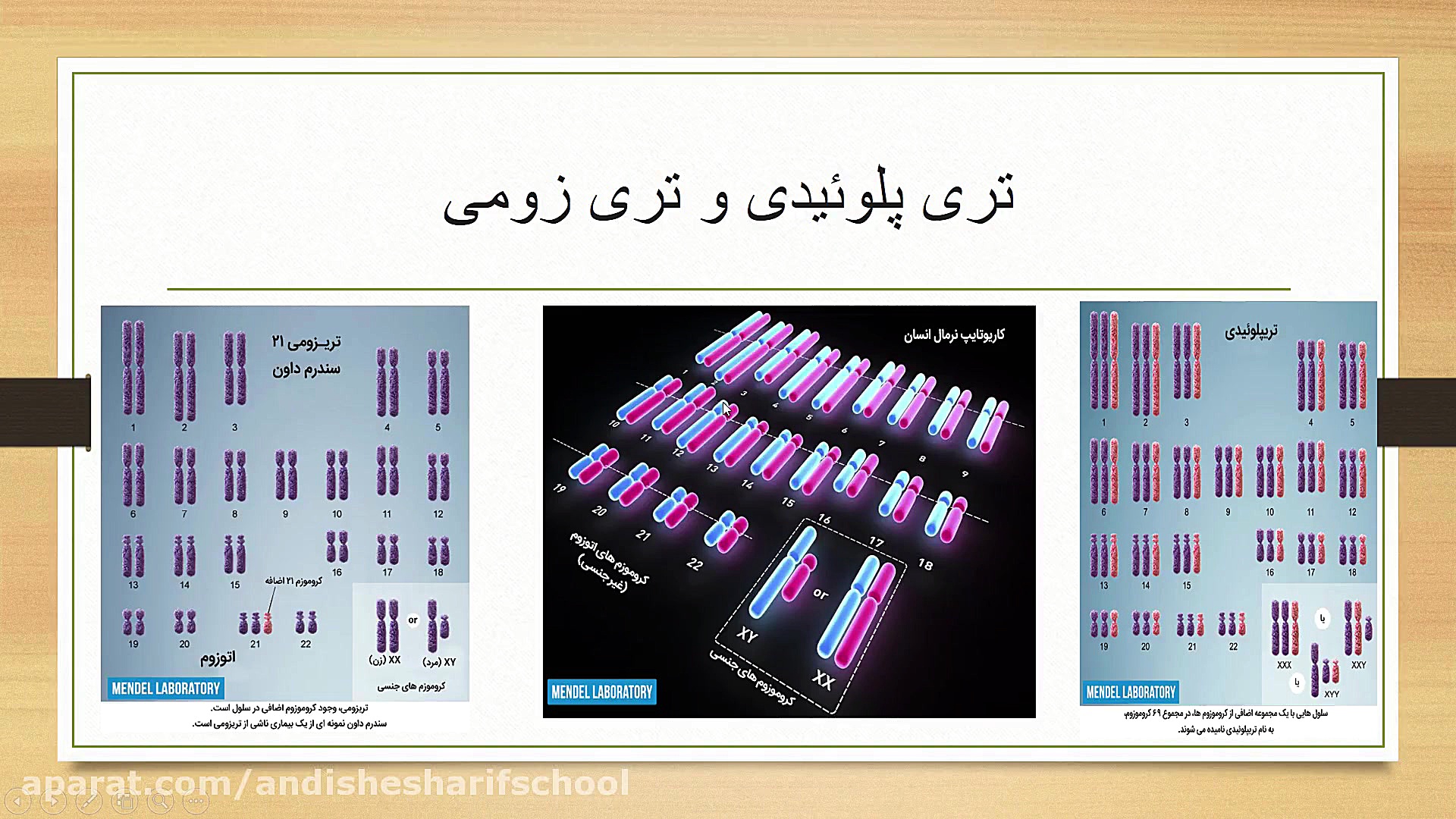 تقسیم یاخته سندرم داون و پلی ز...