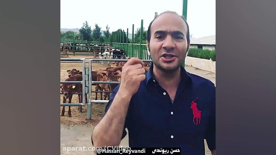 حسن ریوندی  شاخ بازی در گاودار...