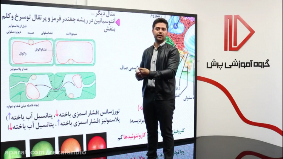 از یاخته تا گیاه (ویدیو اول)