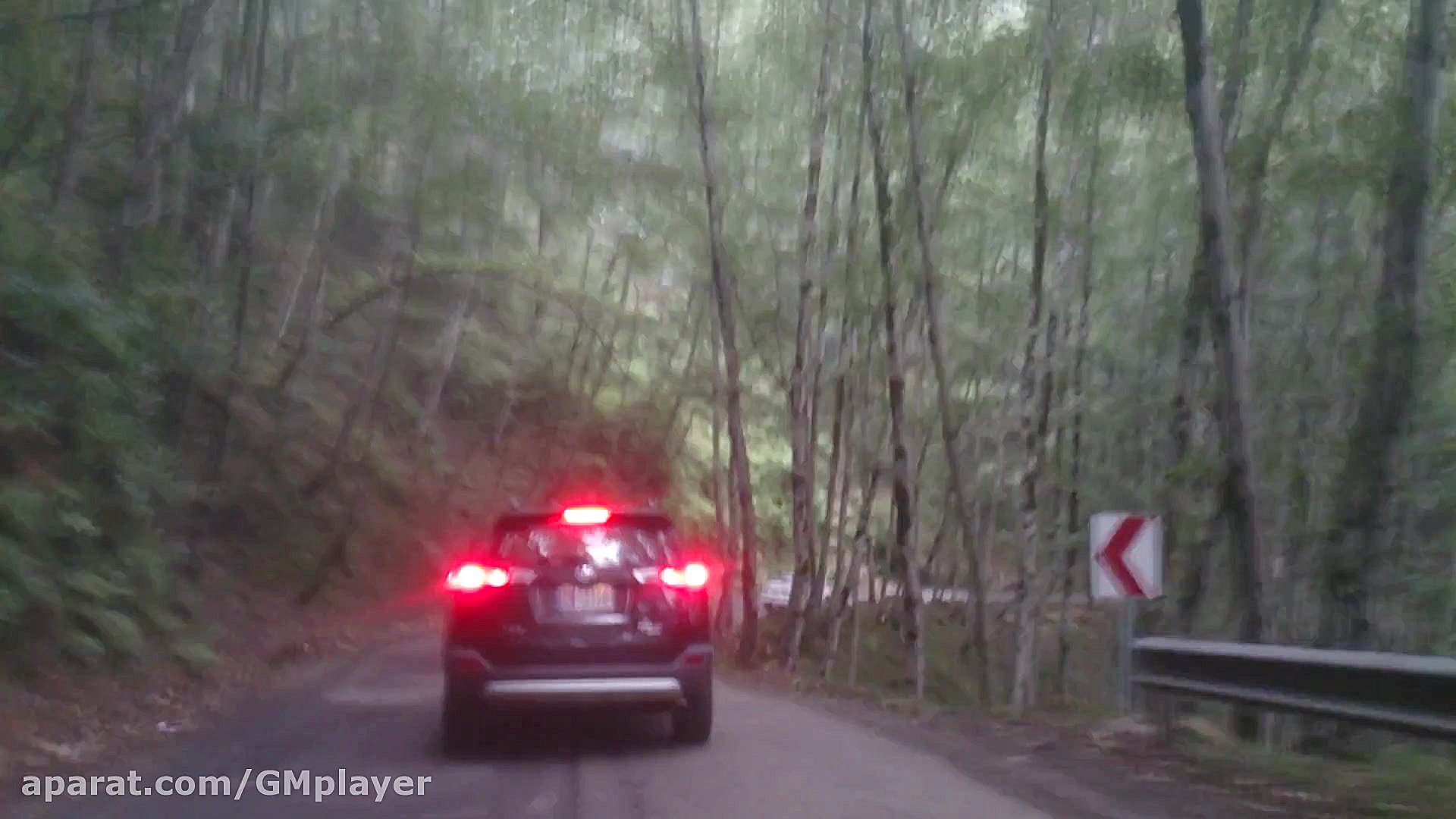 جاده مه گرفته شمال