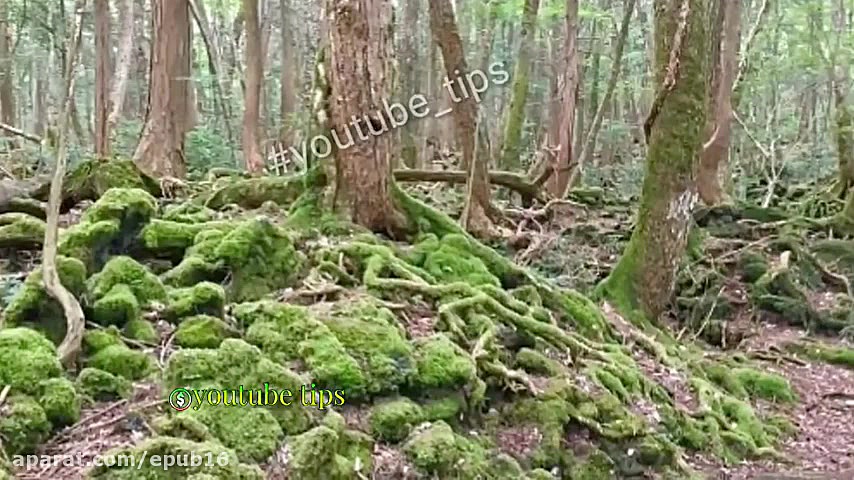 ۵ مکان مرموز و ممنوعه در جهان...