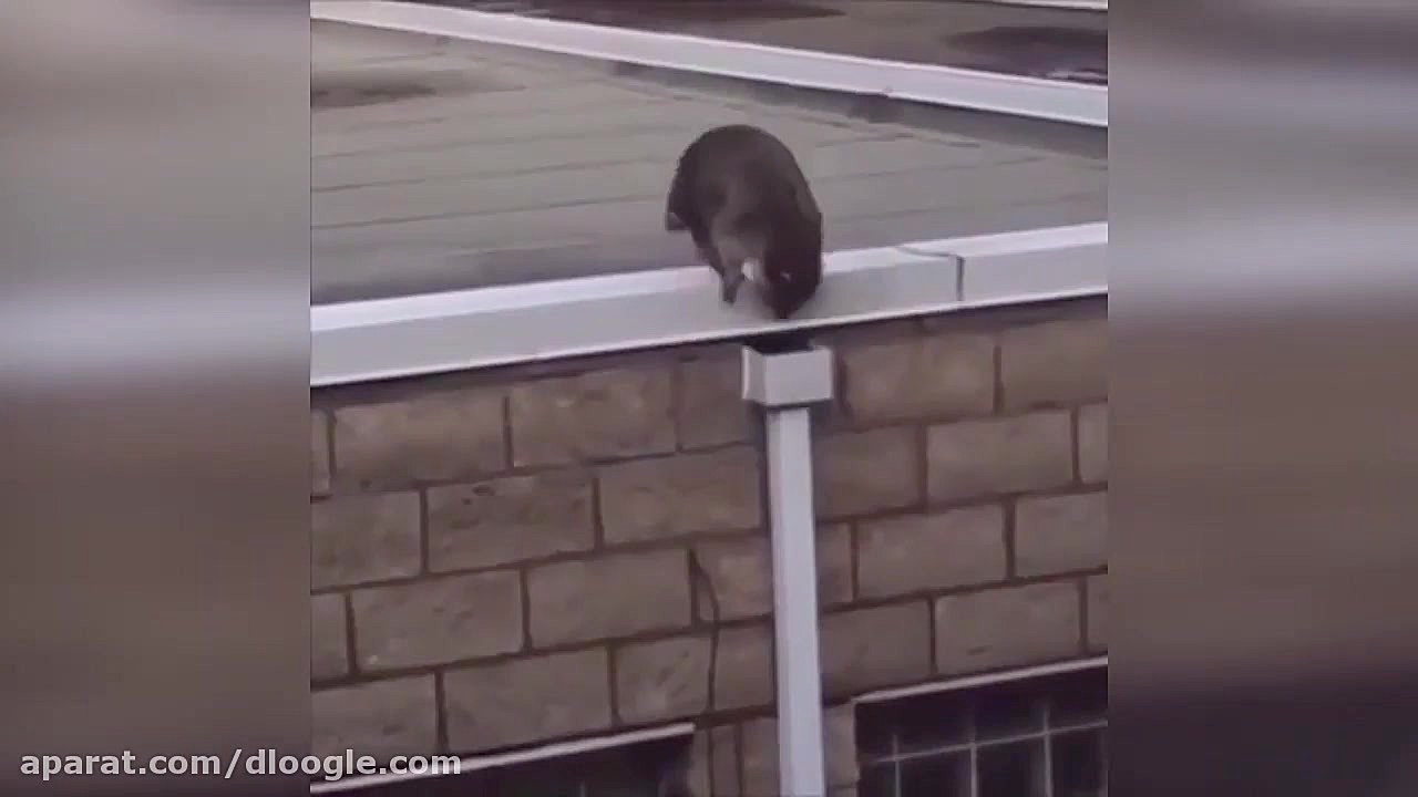 دوبله خنده دار جواد خواجوی  گی...