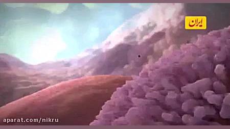 ویروس کرونا چگونه به سلول&zwnj...