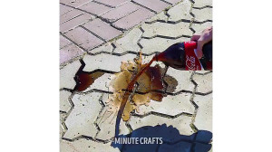 35 ترفند خانه داری  ترفند های...