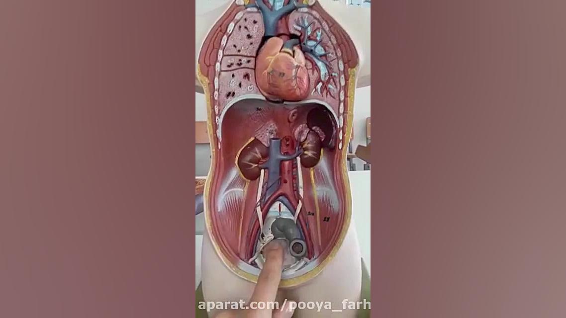 آموزش علوم پایه چهارم