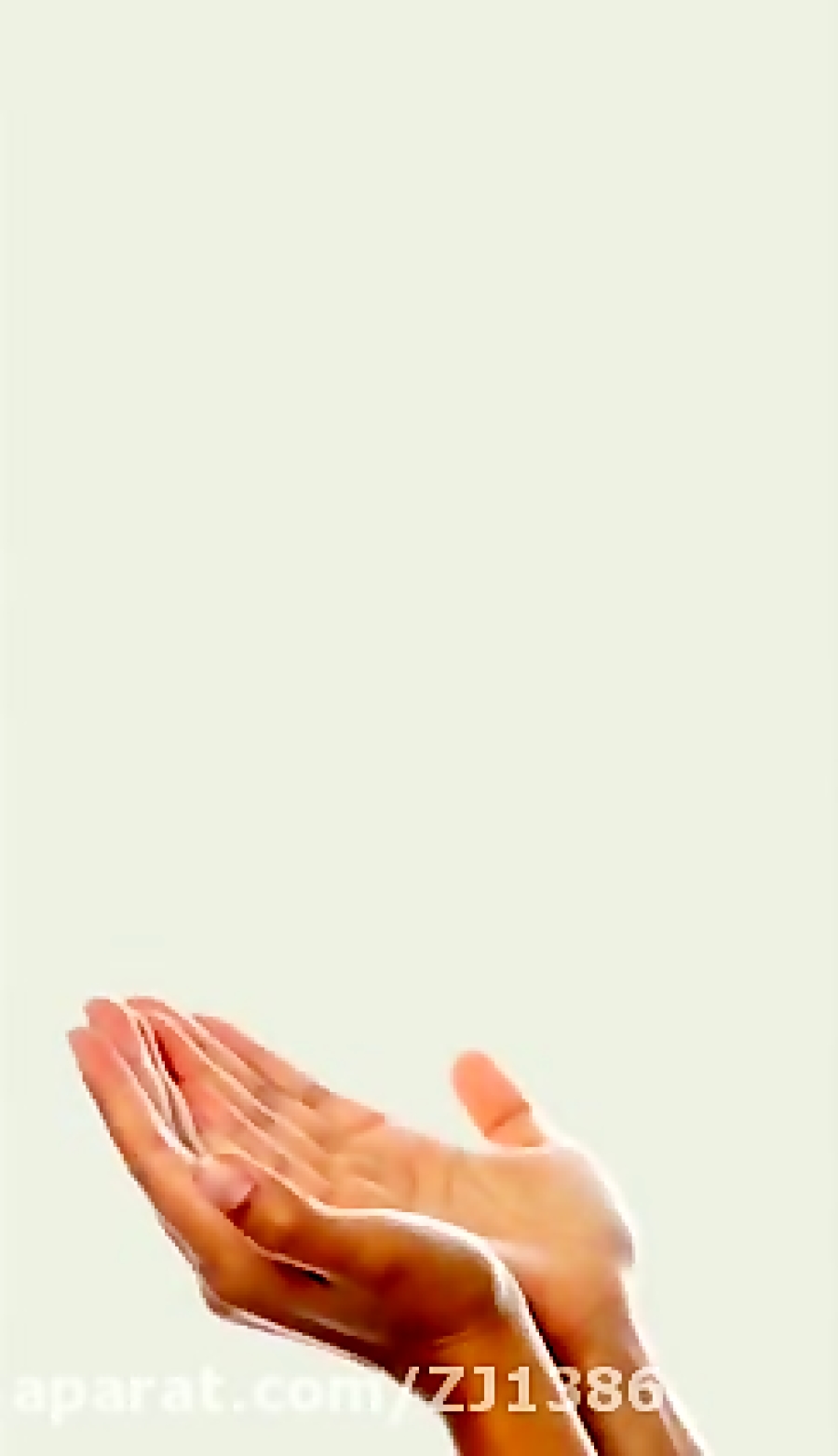 یا من اسمه دوا و ذکره شفا ...