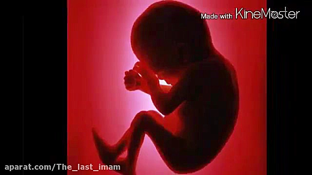 دنیا پس از ظهور (رائفی پور) (ز...