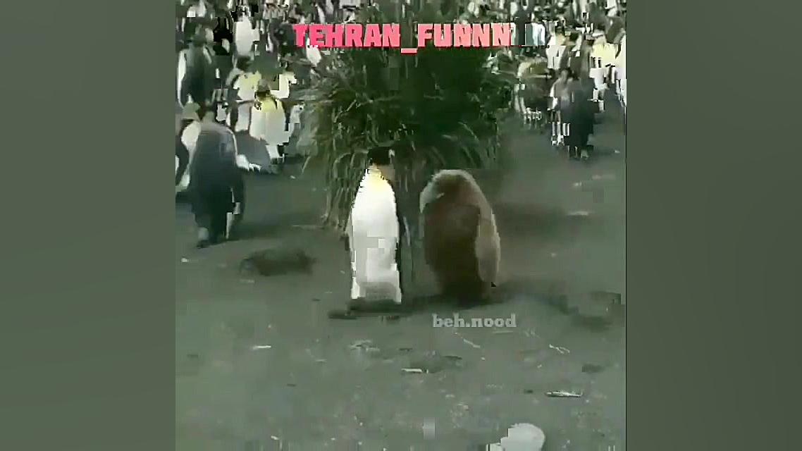 فیلم طنز. صداگذاری