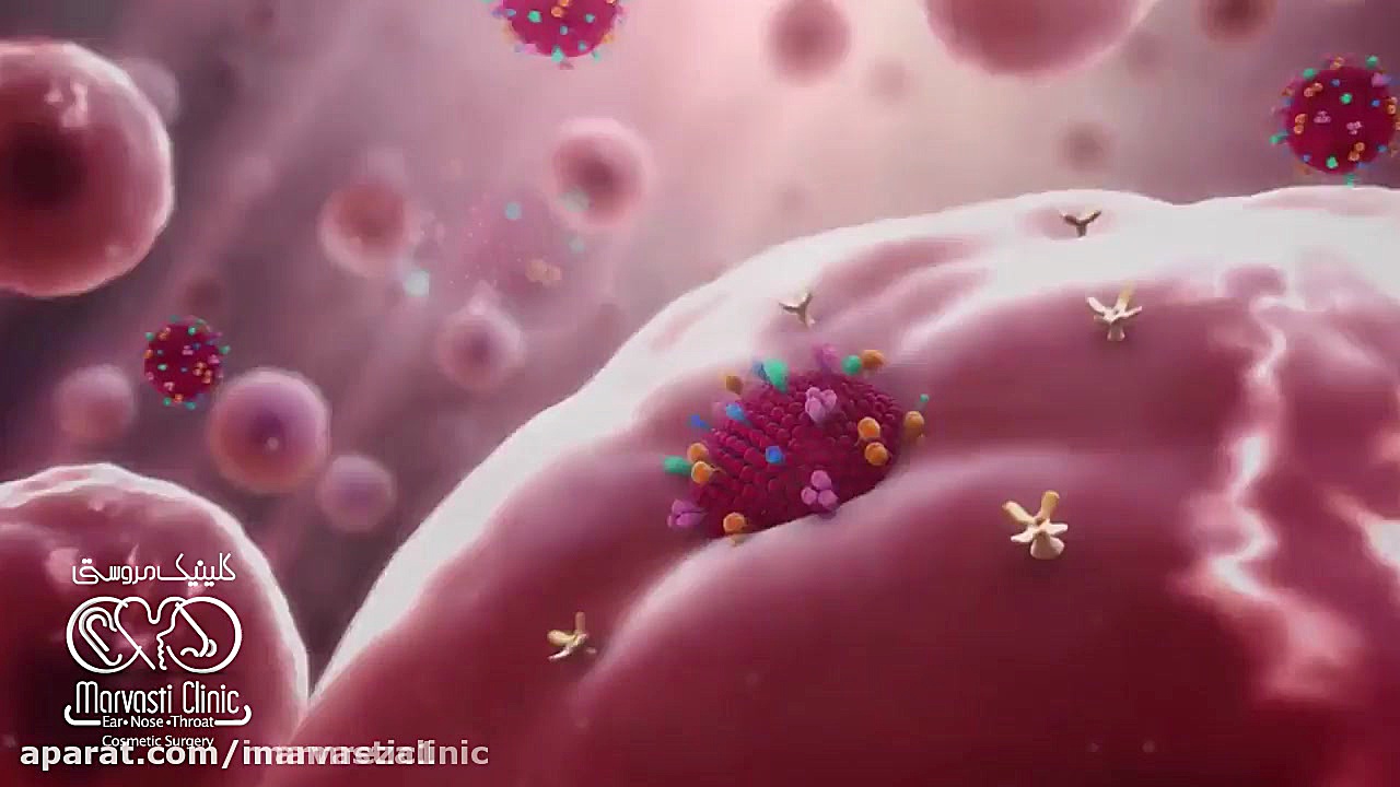 ✅ سرعت بالای انتقال ویروس کرو...