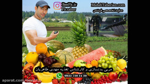 تغذیه سالم(کارشناس تغذیه مهدی...