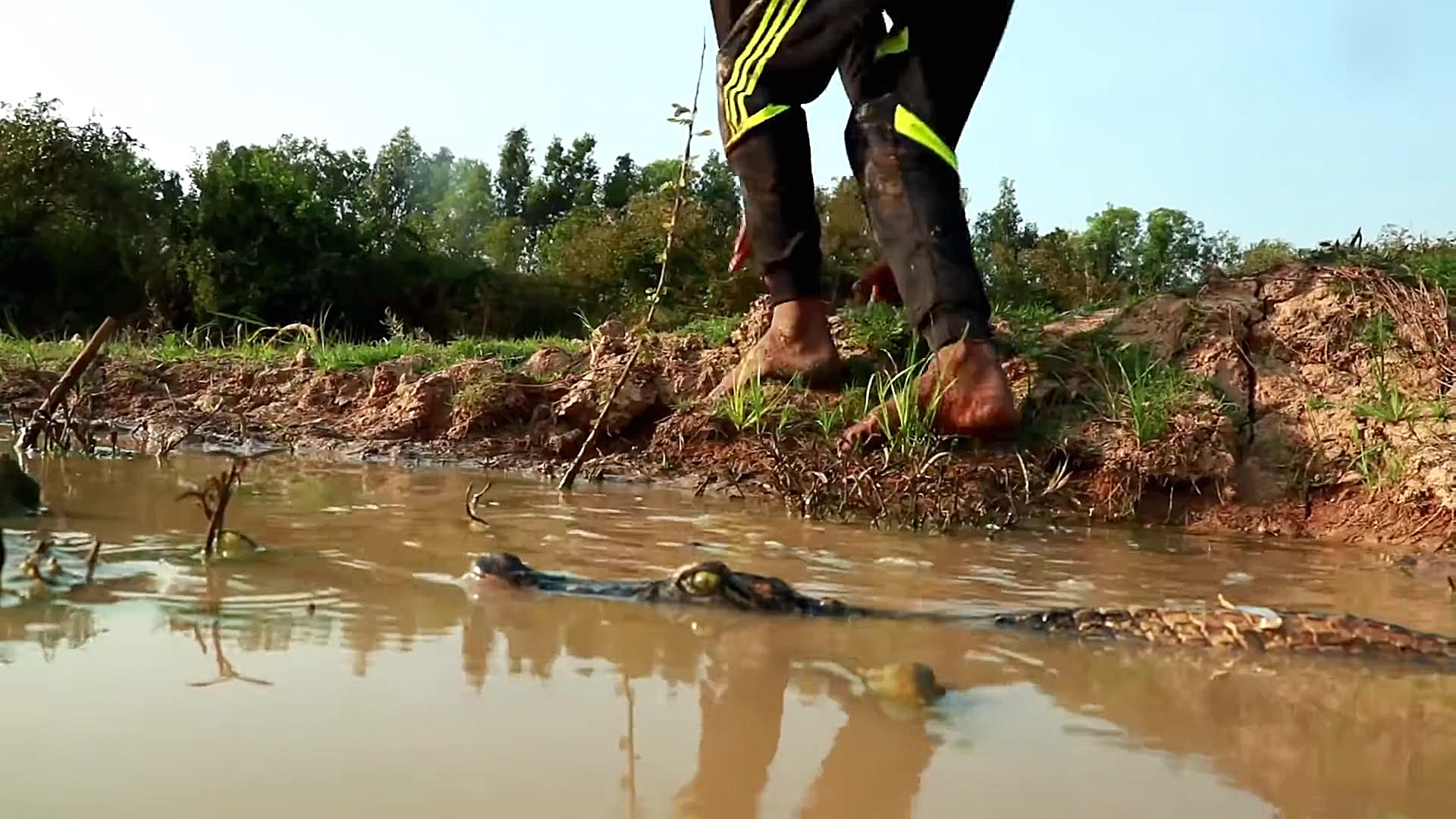 تله مار آبی رودخانه ایی | تله...