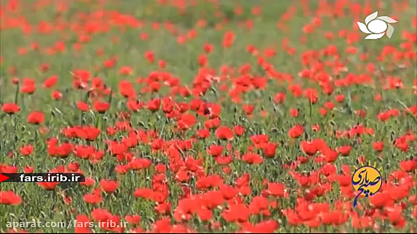 ترانه زیبای &quot; چه خوشحالم...