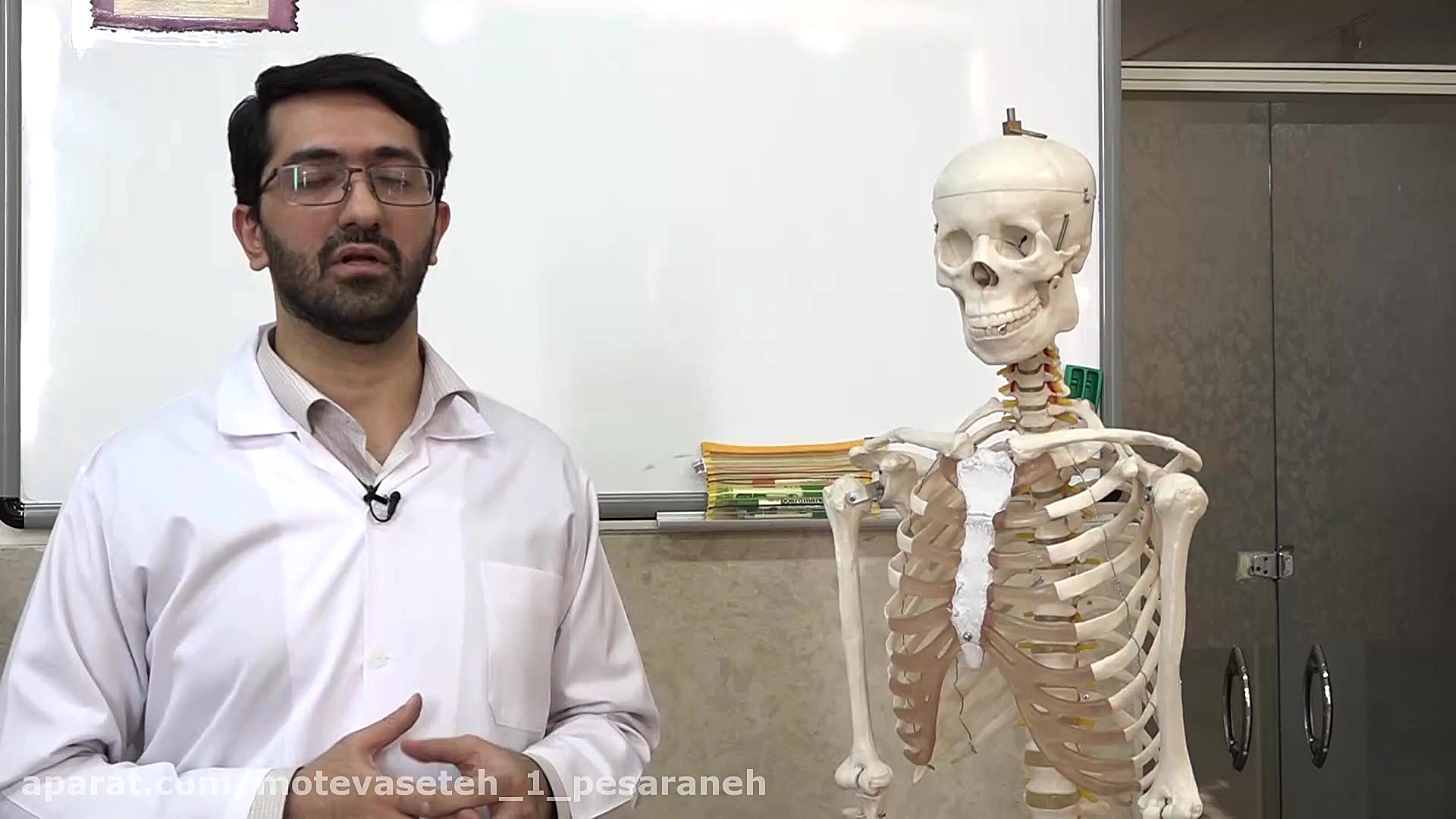 آزمایش تشریح بال مرغ و بررسی ا...