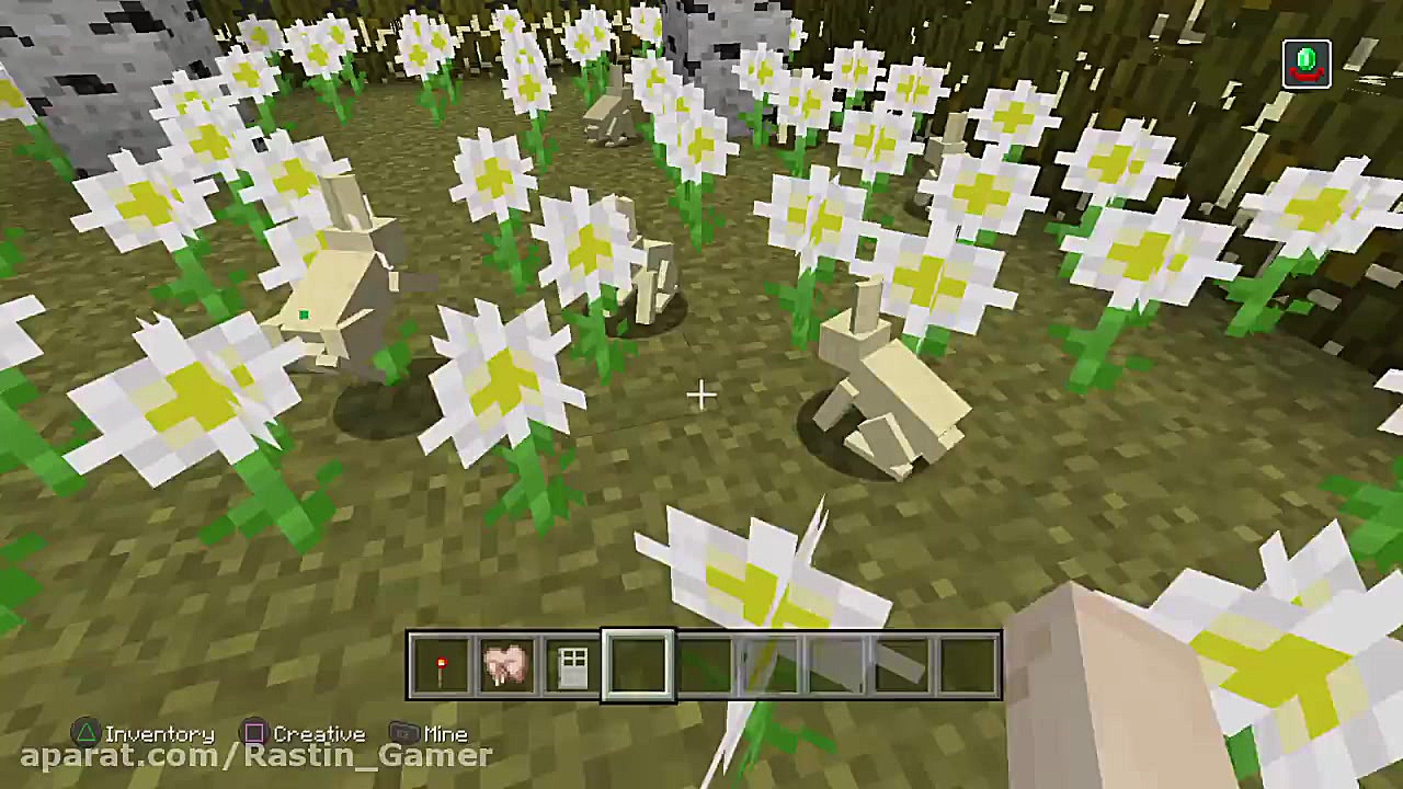 اولین ویدیوی rastin ps4