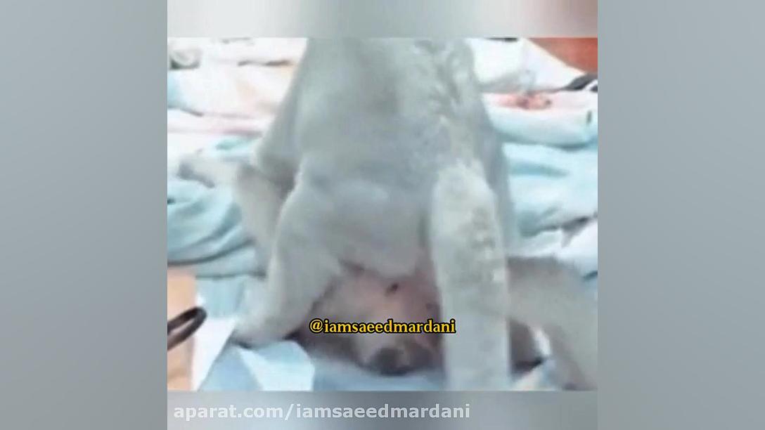 شب جمعس خیرات امواتتون یه لیوا...