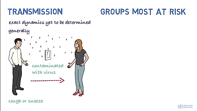 همه چیز در مورد ویروس کرونا  ه...