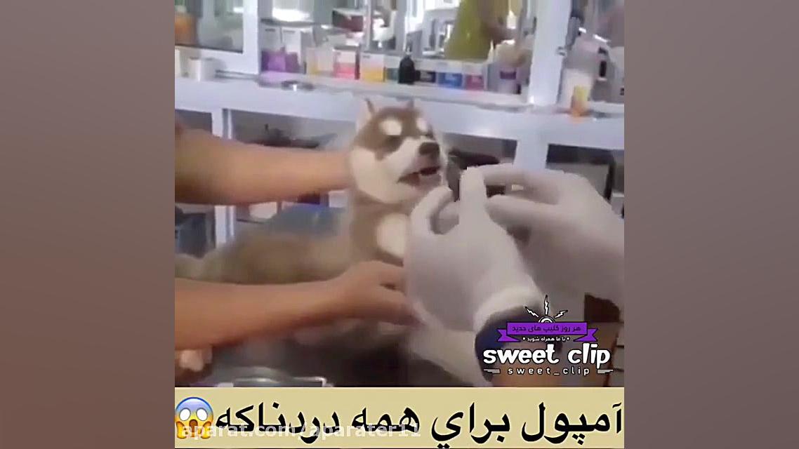 آمپول برای همه دردناکه