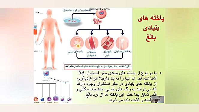 تدریس زیست فصل هفتم گفتار 2 کل...