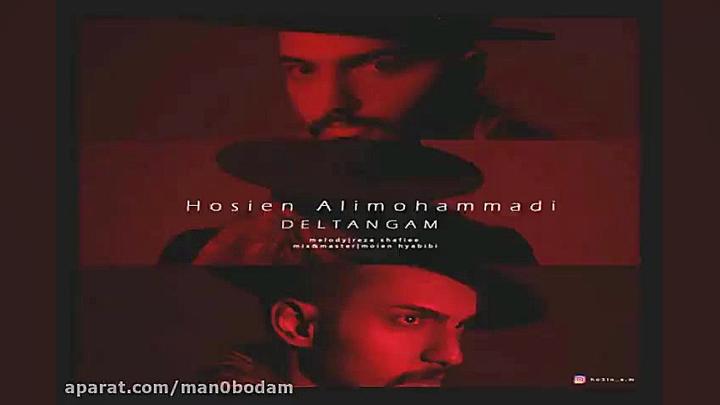 آهنگ حسین علی محمدی  دلتنگم