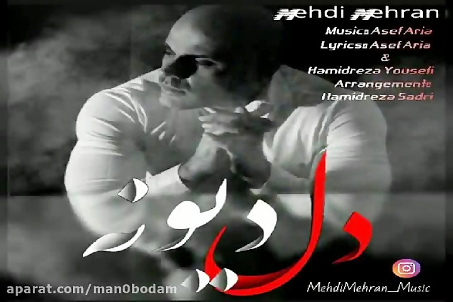 آهنگ مهدی مهران  دل دیونه