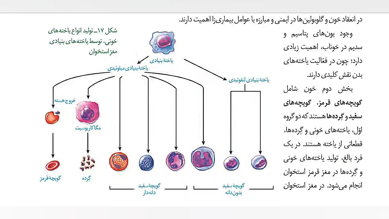 آموزش زیست دهم پلاسما و یاخته...