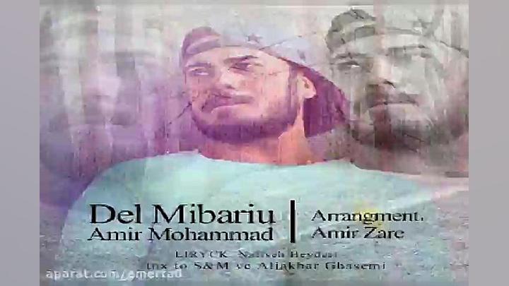 آهنگ امیر محمد  دل میبری