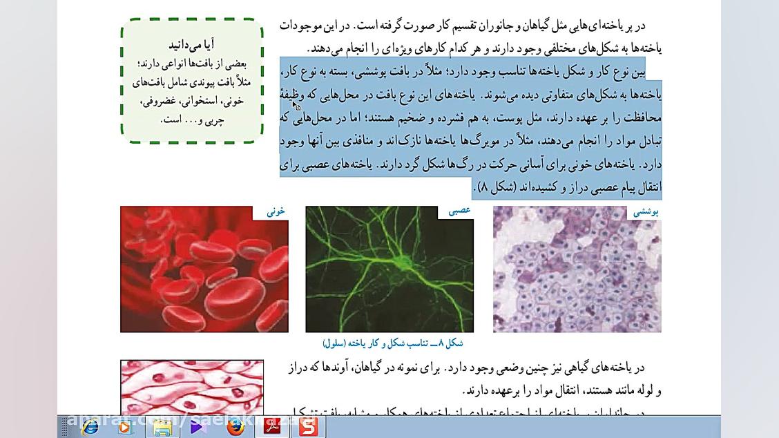 علوم تجربی سال هفتم فصل 11