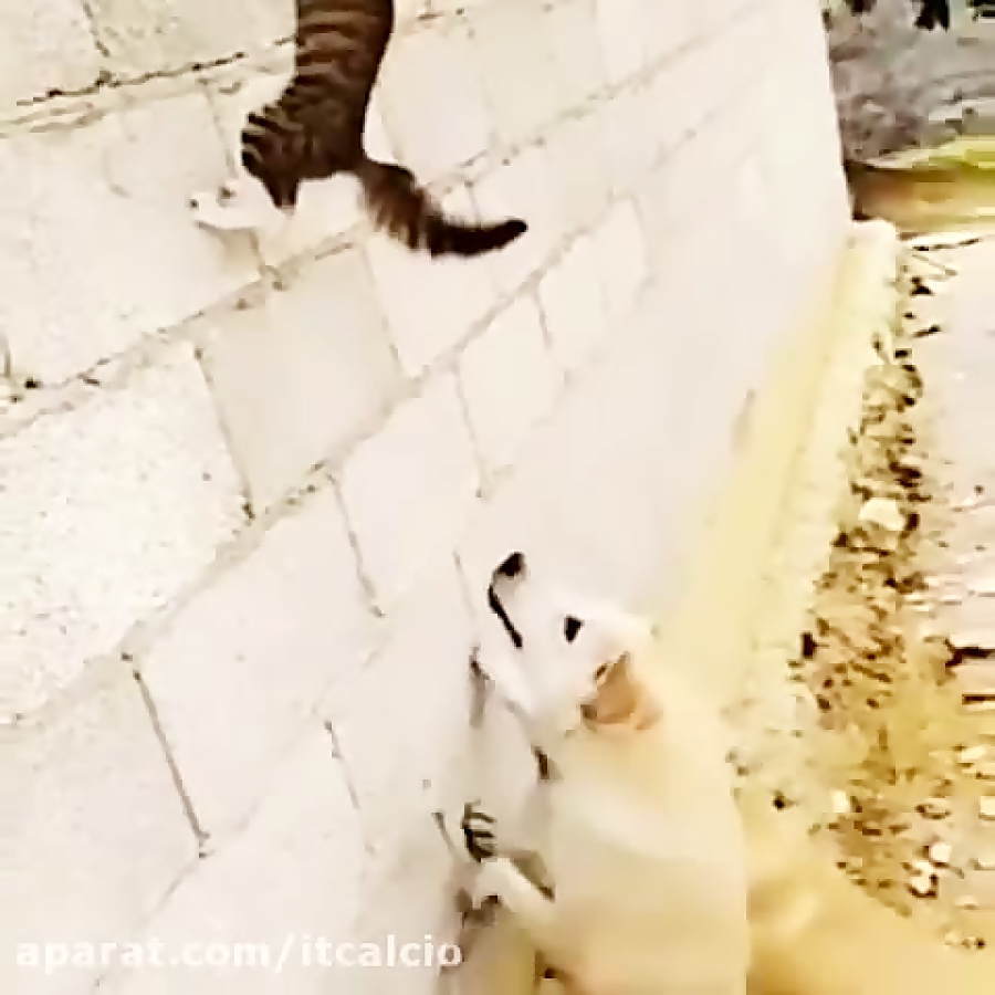 کلیپ خنده دار......ایستگاه خند...