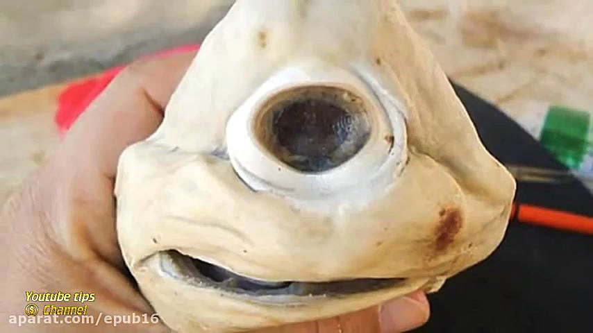 بزغاله یک چشم و نوزاد کوسه یک...