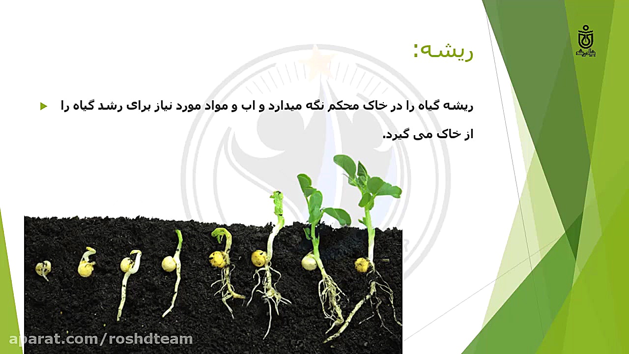 درس 11 علوم سوم ابتدایی بکارید...