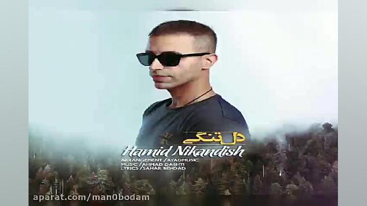 آهنگ حمید نیک اندیش  دلتنگی