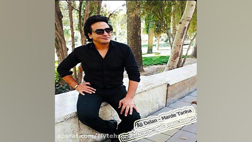 آهنگ جدید | دانلود آهنگ علی دل...