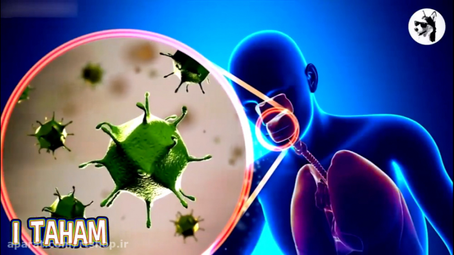 ویروس کرونا چیست ؟ علایم و چگو...