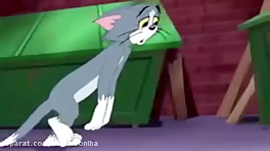 کارتون تام و جری تام و جری