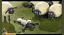 کارتون بره ناقلا بره ناقلا