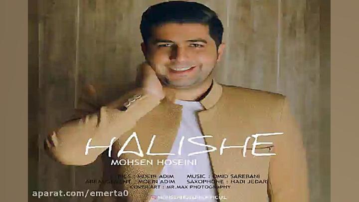 آهنگ محسن حسینی  حالیشه